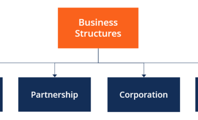 Business Structures Made Simple: Finding Your Perfect Fit!